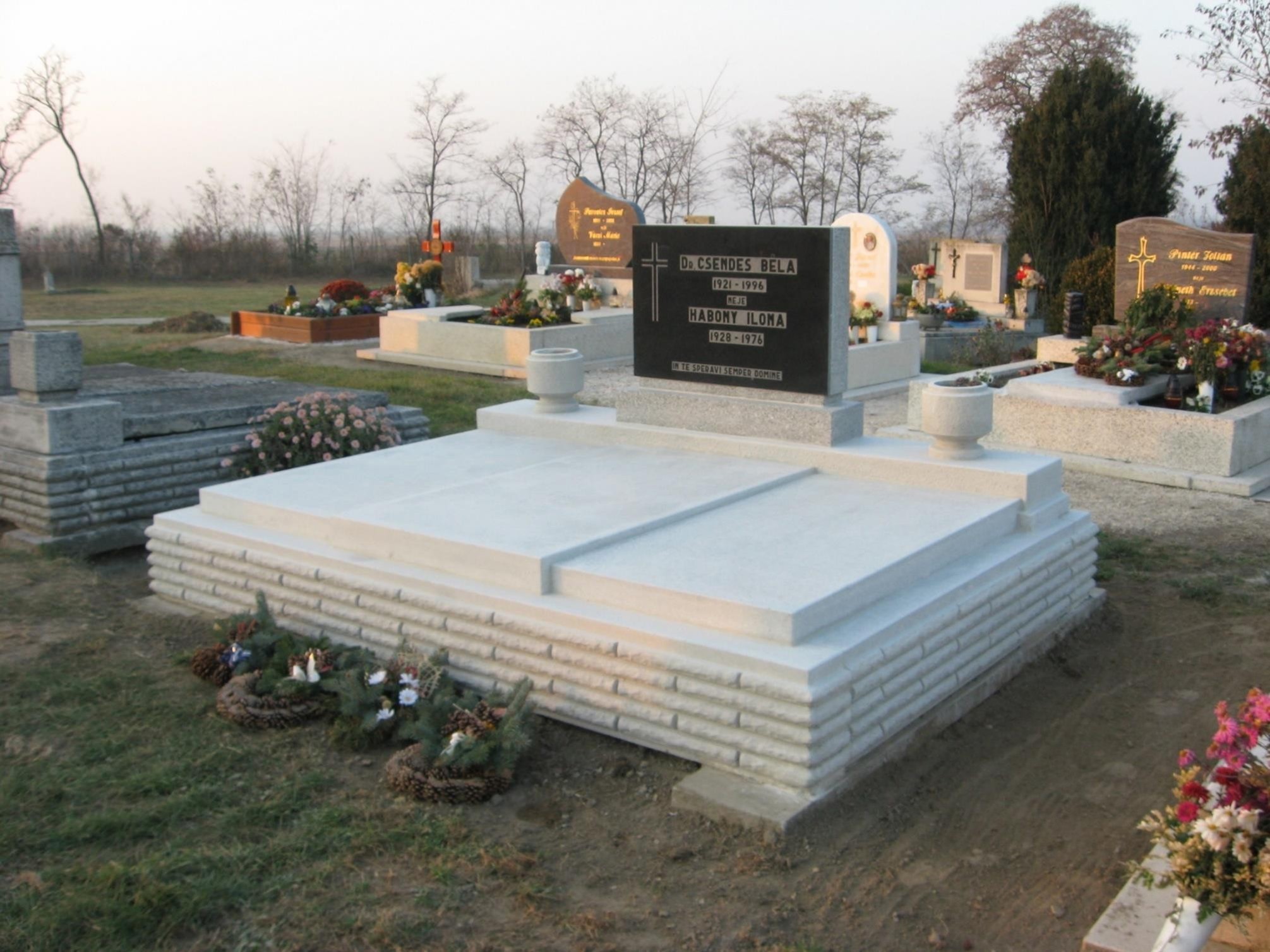 Dr. Csendes Béla sírhelye Nyúlon
